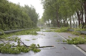 Los angeles car accident lawyer high winds